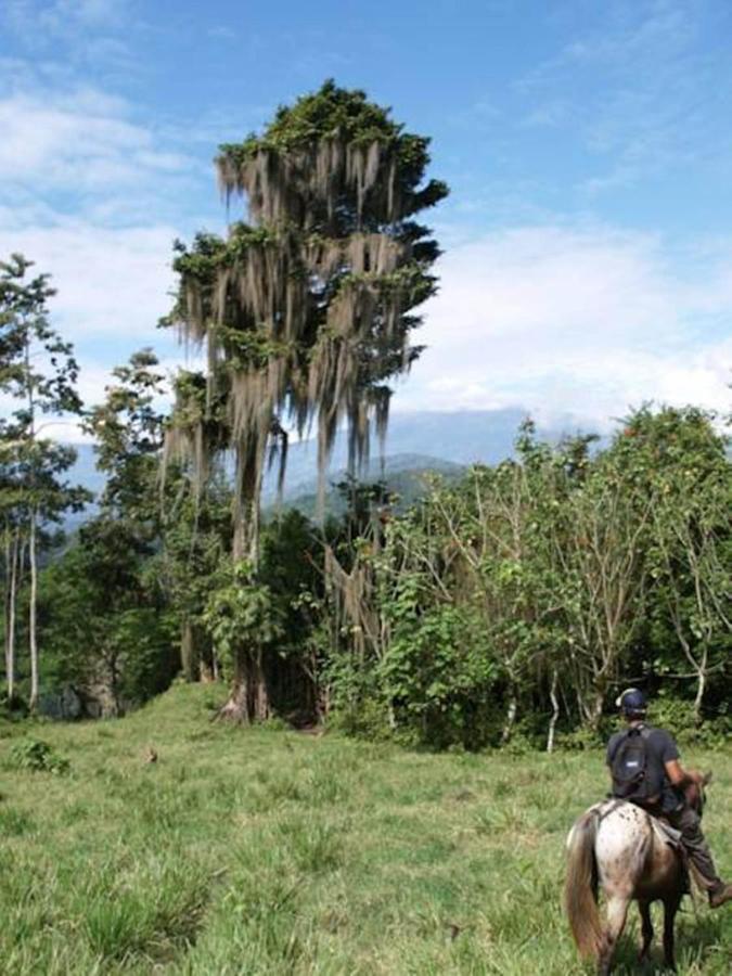 Hotel Hacienda Monteclaro à Turrialba Extérieur photo