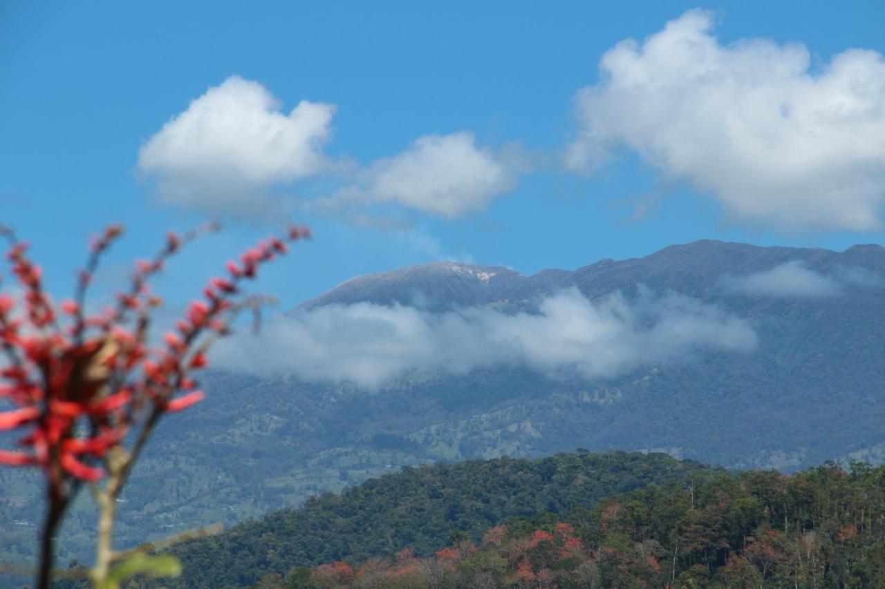 Hotel Hacienda Monteclaro à Turrialba Chambre photo