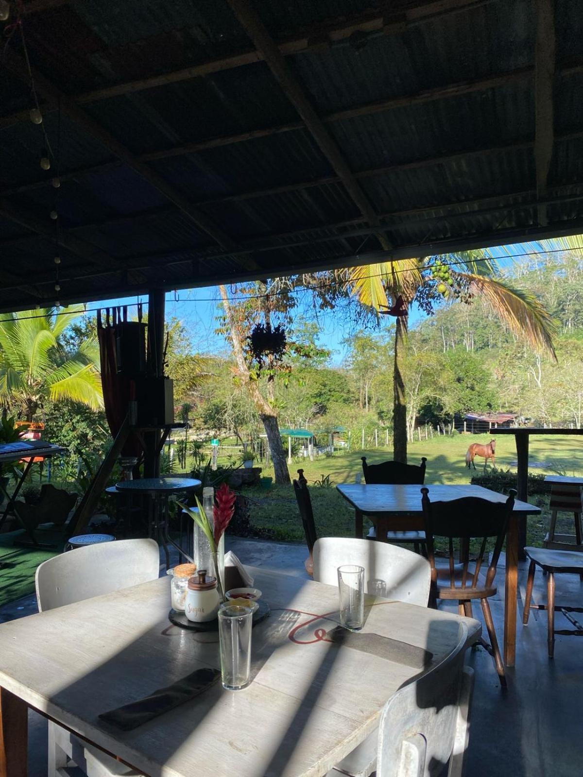 Hotel Hacienda Monteclaro à Turrialba Extérieur photo