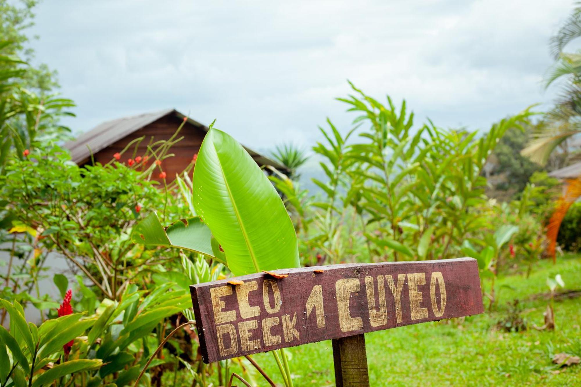 Hotel Hacienda Monteclaro à Turrialba Extérieur photo